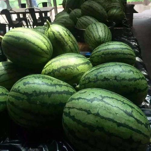 7夕吃瓜视频,揭秘娱乐圈甜蜜背后的秘密