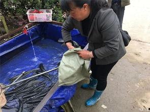 五一旅游女孩吃瓜视频播放